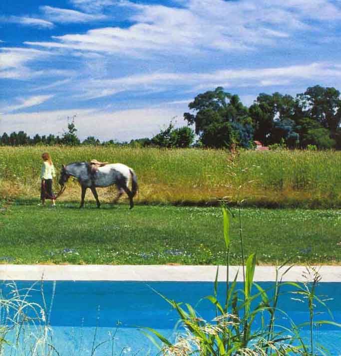 Una campagna verde, un canale, una ragazza, un cavallo...